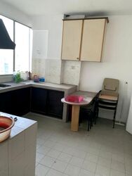 Rajah Tower (D12), Apartment #458893321
